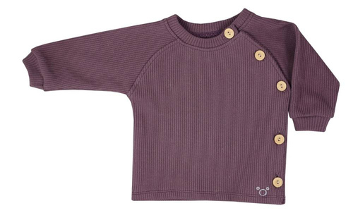 Pure Koala Bluza z długim rękawem - śliwka