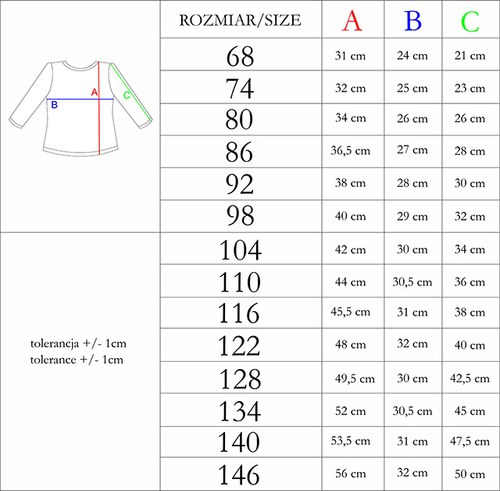 208138 Lizy Nicol Bluzka z długim rękawem