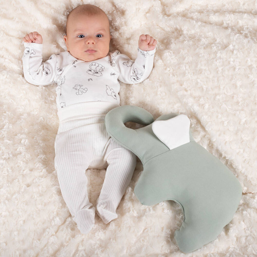 202010 Olaf Nicol Półśpioch niemowlęcy 