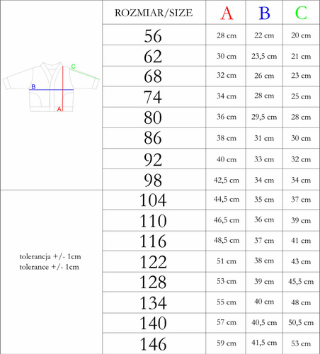 Bluza dresowa 210274 Teddy Nicol