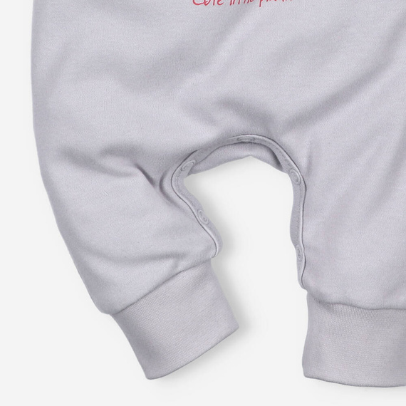 ABN-5059/JSZA Łąka Śpiochy z bawełny organicznej Nini szary