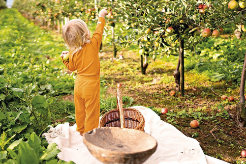  "Simply Comfy" Ewa Klucze Spodnie z guzikami -miodowy 