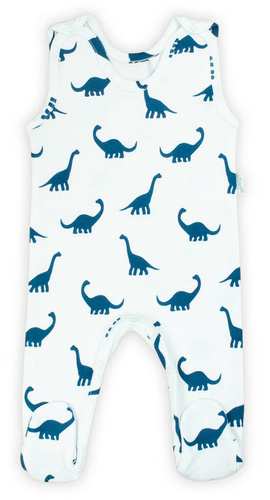 195023 Iwo Nicol Śpioch niemowlęcy