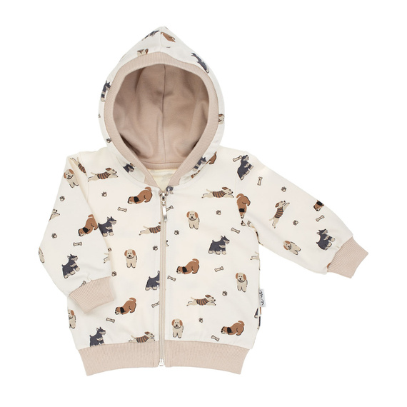 215277 Eddy Nicol Bluza dresowa