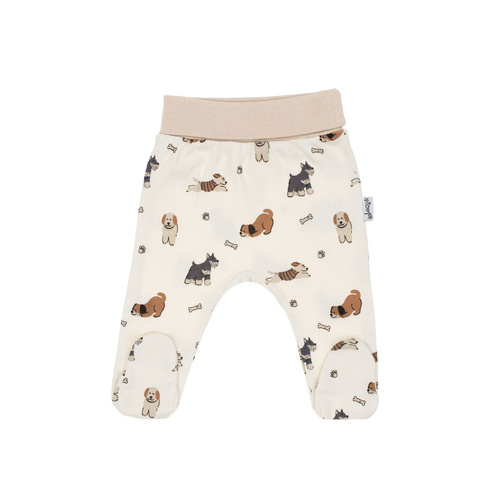 215009 Eddy Nicol Półśpioch niemowlęcy