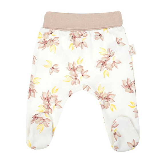 203009 Lou Nicol Półśpioch niemowlęcy