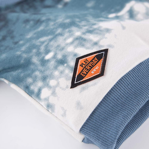 Jump Eevi Bluza dla chłopca - szary/niebieski