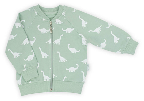 195273 Iwo Nicol Bluza dresowa