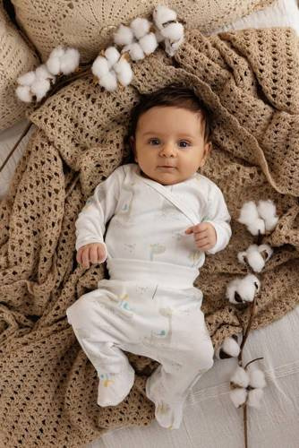 "Rino" Makoma Półśpioch niemowlęcy