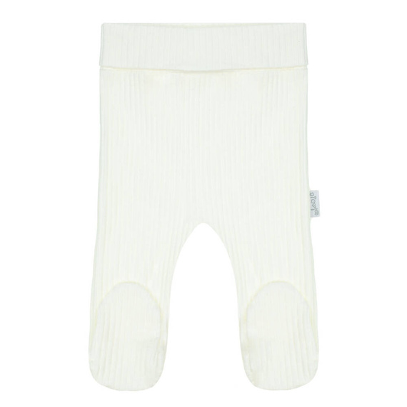 202010 Olaf Nicol Półśpioch niemowlęcy