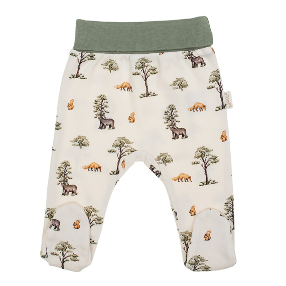 218009 Yogi Bear Nicol Półśpioch niemowlęcy