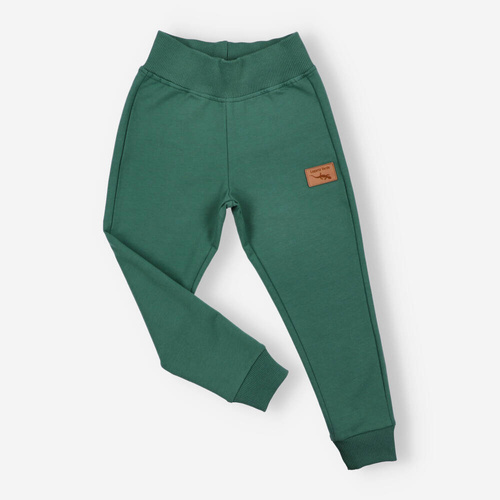 Spodnie dresowe Lagarto Verde - zielony