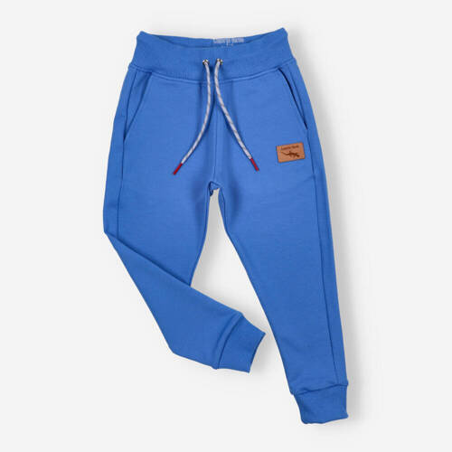 Spodnie dresowe Lagarto Verde - chabrowy