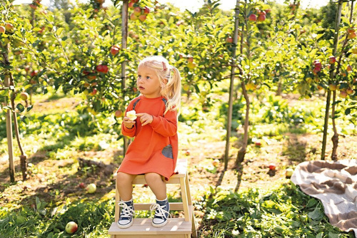 Adventure Ewa Klucze Tunika dresowa - rudy