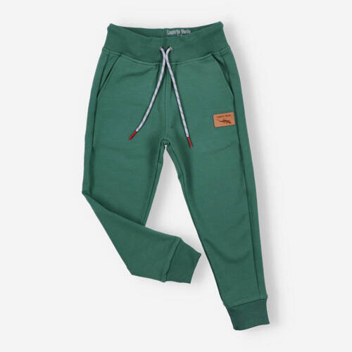 Spodnie dresowe Lagarto Verde - zielony