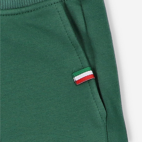 Spodnie dresowe Lagarto Verde - zielony