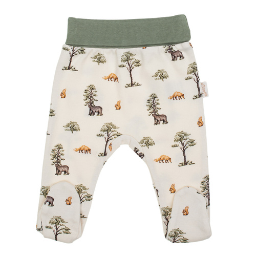 218009 Yogi Bear Nicol Półśpioch niemowlęcy 