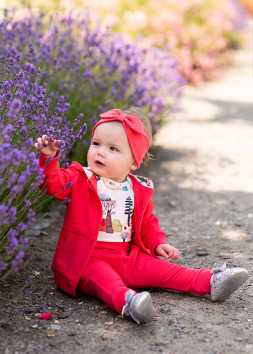 ABN-4054/KOR Kolorowy Las Bluza dresowa z kapturem z bawełny organicznej Nini malinowy