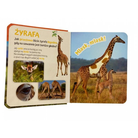 MO145-3 "Pogłaszcz zwierzątko na łące" Książka sensoryczna Awm Wydawnictwo