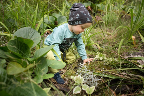 Czapka bawełniana "Stay Green" Pinokio - grafit druk