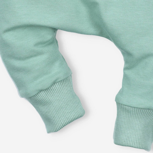 ABN-4518/ZIE Spodnie dresowe z bawełny organicznej Nini zielony