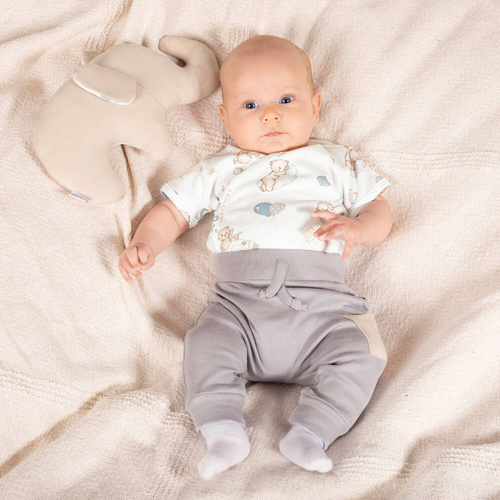 210017 Teddy Nicol Spodnie niemowlęce