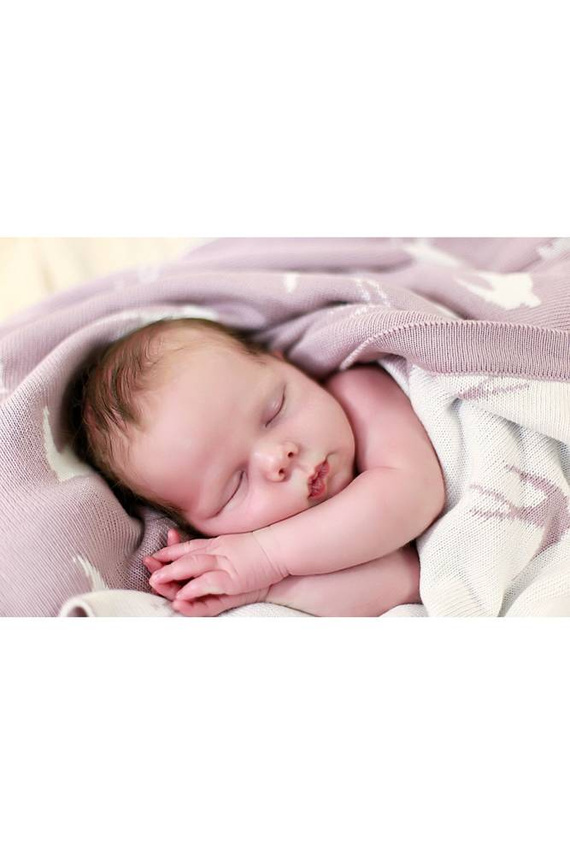 2108 Doctor Nap Kocyk bambusowy Swallow - rose