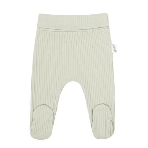 208010 Lizy Nicol Półśpioch niemowlęcy