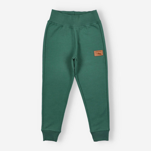 Spodnie dresowe Lagarto Verde - zielony