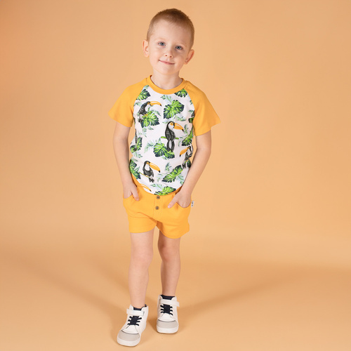 Spodenki krótkie 186187 "Tukan" Nicol