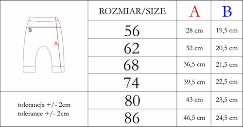 210017 Teddy Nicol Spodnie niemowlęce
