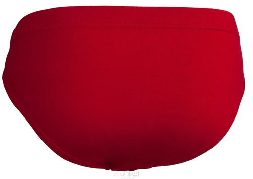 Błażej Slipy Męskie Unikat - bordo